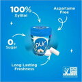 PUR® žuvačky (50 kusov) s príchuťou PEPPERMINT