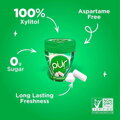 PUR® žuvačky (50 kusov) s príchuťou SPEARMINT